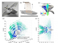 研究揭示蚕蛾的气味检测如何改善机器人技术